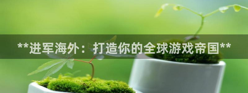 新航娱乐公司旗下艺人都有谁：**进军海外：打造你的全球游戏帝国**