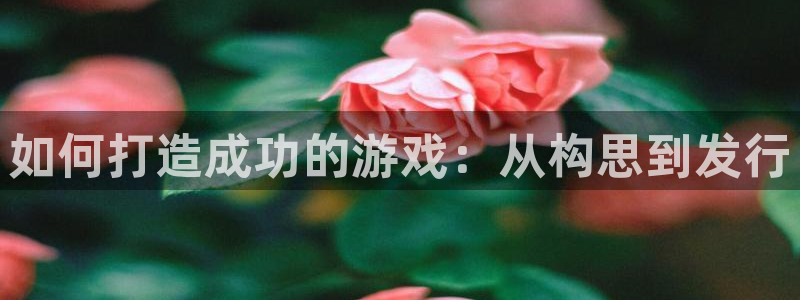 新航娱乐扣费是什么费用啊：如何打造成功的游戏：从构思到发行