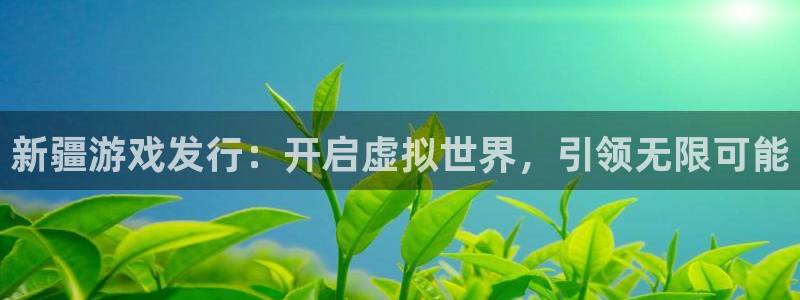 新航娱乐的会员权益与保障：新疆游戏发行：开启虚拟世界，引领无限可能