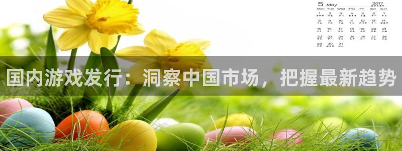 新航娱乐的创始人背景是什么：国内游戏发行：洞察中国市场，把握最新趋势