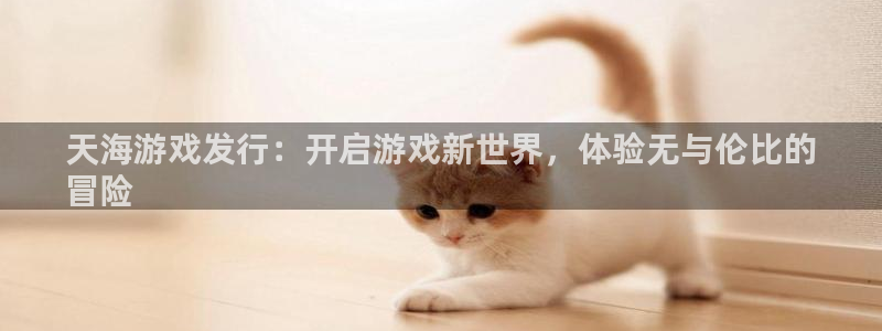 新航娱乐app最新版本更新内容在哪看：天海游戏发行：开启游戏新世界，体验无与伦比的
冒险