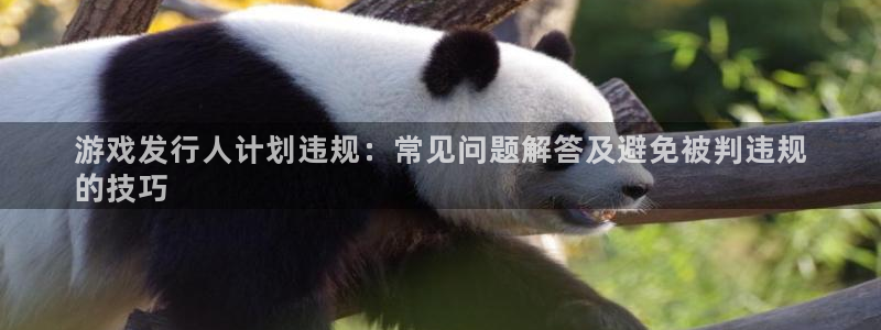 新航娱乐背后的老板：游戏发行人计划违规：常见问题解答及避免被判违规
的技巧