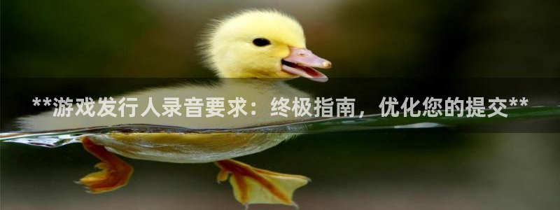 新航娱乐集团最新消息今天：**游戏发行人录音要求：终极指南，优化您的提交**