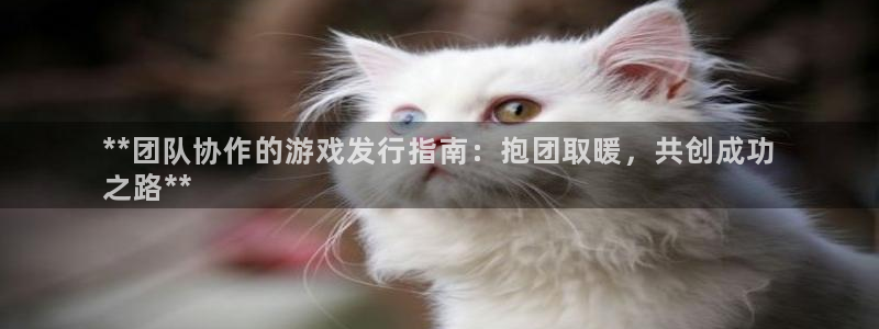 新航娱乐官网下载app：**团队协作的游戏发行指南：抱团取暖，共创成功
之路**