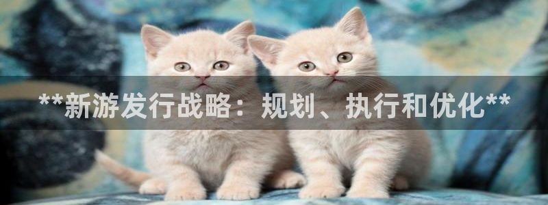 新航娱乐的会员权益与保障在哪：**新游发行战略：规划、执行和优化**