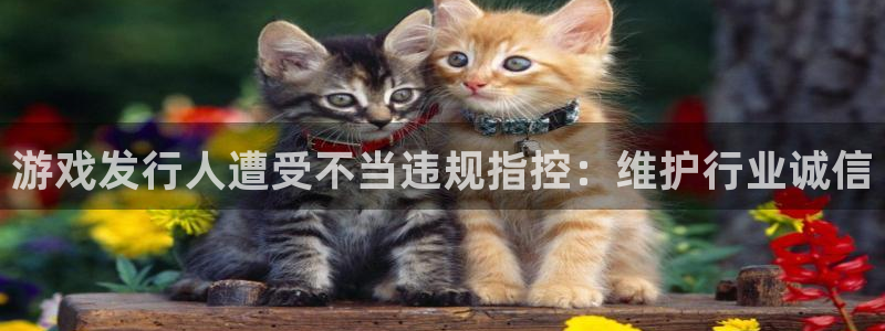新航娱乐app官方免费下载安装：游戏发行人遭受不当违规指控：维护行业诚信