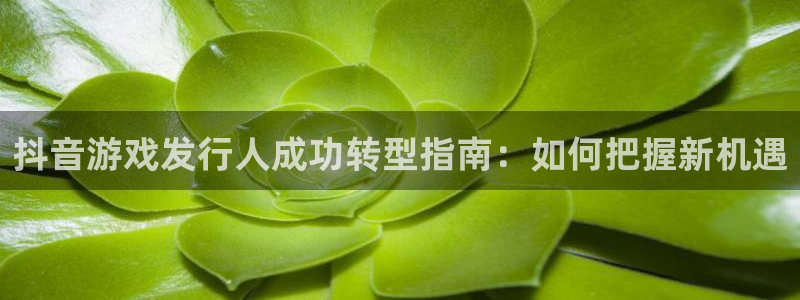 新航娱乐平台用户评价及反馈：抖音游戏发行人成功转型指南：如何把握新机遇