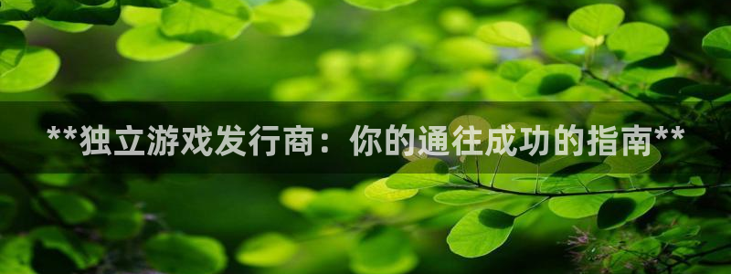 新航娱乐扣费是什么费用啊多少钱：**独立游戏发行商：你的通往成功的指南**