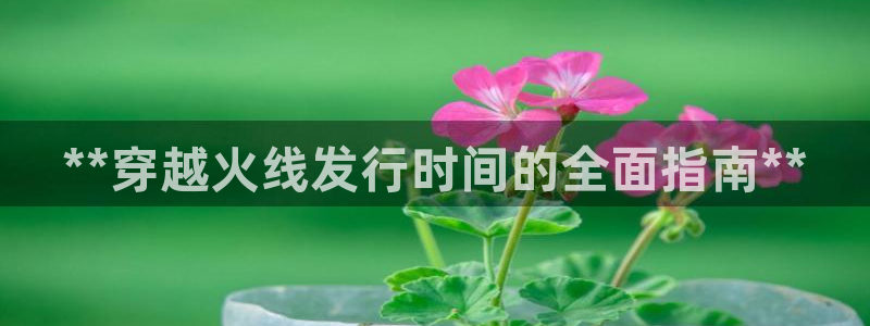 新航娱乐的创始人是谁：**穿越火线发行时间的全面指南**