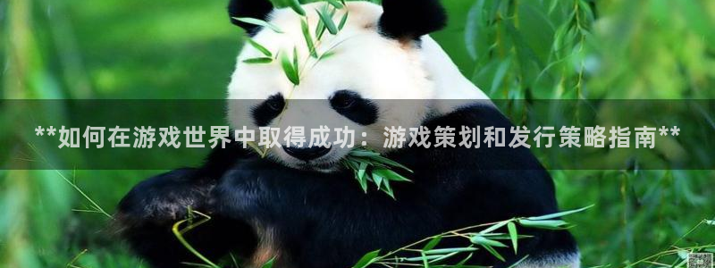 新航娱乐app最新版本更新内容在哪找：**如何在游戏世界中取得成功：游戏策划和发行策略指南**