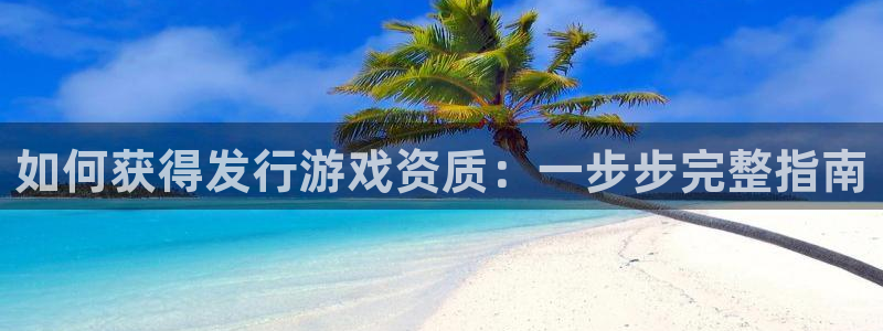 新航娱乐公司扣费流程详解表格：如何获得发行游戏资质：一步步完整指南
