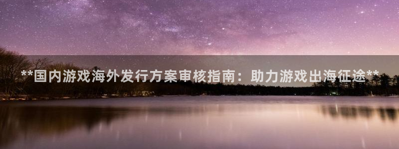 新航娱乐的股东名单和背景介绍：**国内游戏海外发行方案审核指南：助力游戏出海征途**