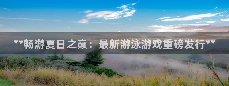 新航娱乐公司扣费流程详解表图片：**畅游夏日之巅：最新游泳游戏重磅发行**