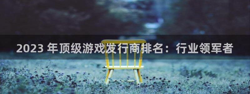 新航娱乐的员工工资福利及待遇：2023 年顶级游戏发行商排名：行业领军者