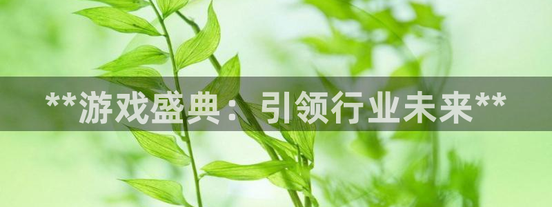 新航娱乐公司旗下艺人：**游戏盛典：引领行业未来**