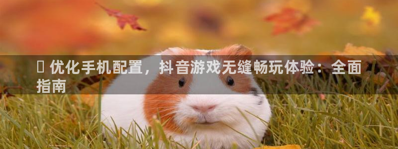 新航娱乐有限公司最新活动信息