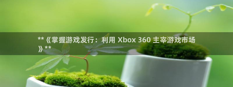 新航娱乐公司扣费流程详解表：**《掌握游戏发行：利用 Xbox 360 主宰游戏市场
》**