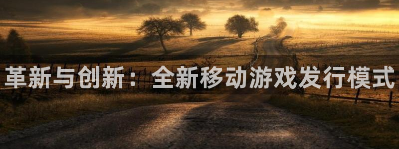 新航娱乐公司扣费流程详解：革新与创新：全新移动游戏发行模式