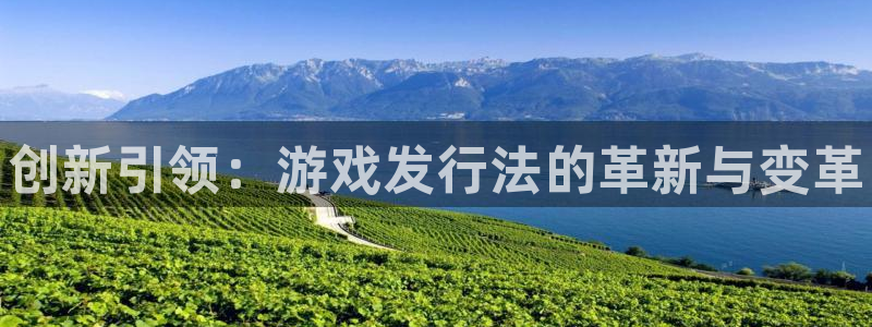 新航娱乐官网下载app：创新引领：游戏发行法的革新与变革