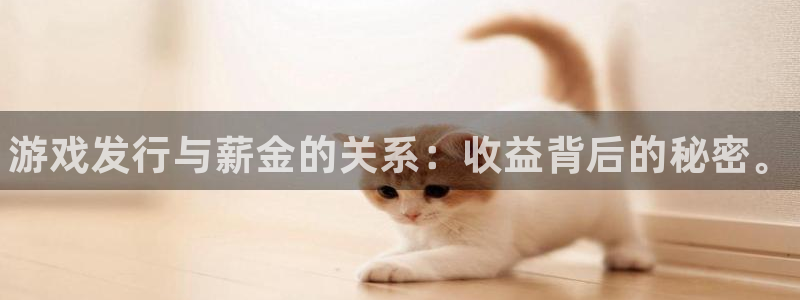 新航娱乐扣费是什么费用：游戏发行与薪金的关系：收益背后的秘密。