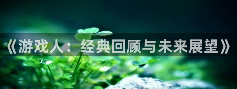 新航娱乐扣款后还能重新扣嘛：《游戏人：经典回顾与未来展望》