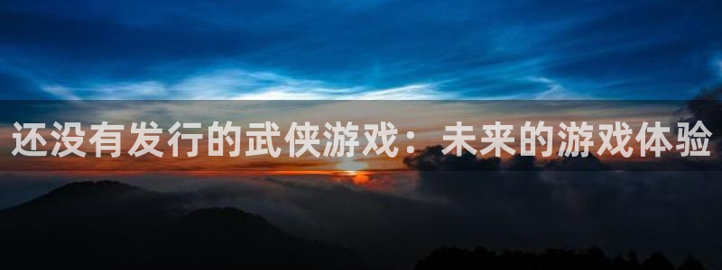 新航娱乐的背景和历史背景：还没有发行的武侠游戏：未来的游戏体验